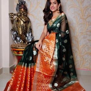 Premium quality lite weight pure contrast Organza Silk with bp