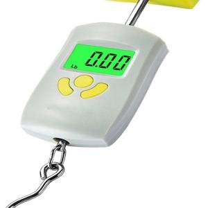 EbalHook A 304 Digital Luggage Weighing Scales, 50kg (Grey)