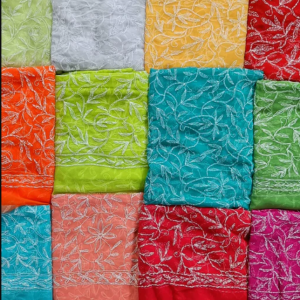 RAGINI Georgette Tepchi Chikankari Dupatta