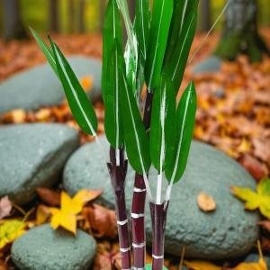 Artificial Banana Tree – 1.6 Ft (1 Pair) | Pooja Decoration