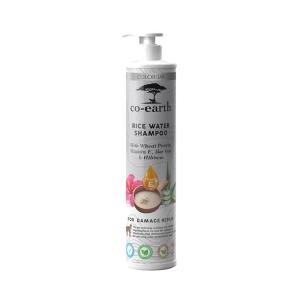 Colorbar Co-Earth Rice Water Shampoo 300ml I Plant-based ingredients I Provides intense hydration I Safeguard damaged hair & deeply conditions
