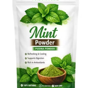 Appu Naturals Pure Mint Powder Seasoning 100g – All-Purpose Pudina Sprinkler for Raita, Dips & Chaat | 100% Natural, No Added Salt or Fillers | Sun Dried Pudina Powder