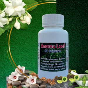 Anamu Leaf Capsule - 60 Capsules (Get One Bottle 50ml Anamu Leaf Drops Free)