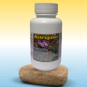 Astragalus Capsule - 60 Capsules (Get One Bottle 50ml Astragalus Drops Free)