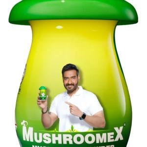 Mushroomex 100 Gram Mushroom Powder Ayurvedic Weight Gainer for Men Women and Adults with Natural Ingredients to Improve Stamina, Appetite and Overall Wellness (Pack of 1)