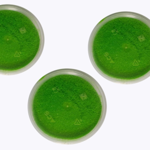 SK Brand Rangoli Powder, 200g Plastic Box, Green, Pack of 3, for Festival Decoration