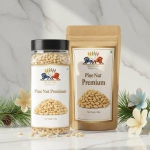 Pine Nut Premium Dry Fruits & Nuts || Dry Nuts || MVB YUGVIGYANA