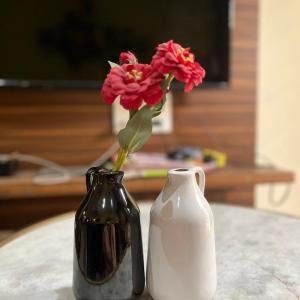VIBHSA Ceramic Vase for Home Living Room Décor Ceramic Vase | 2 inch (Black)