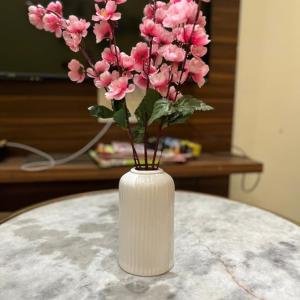Ceramic Vase for Home Living Room Décor Ceramic Vase (2 inch, White)