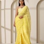 Lucknow Chikankari Georgette Tepchi Saree