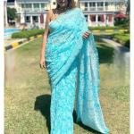 Pure Hand-Embroidered Lucknowi  Saree