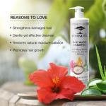 Colorbar Co-Earth Rice Water Shampoo 300ml I Plant-based ingredients I Provides intense hydration I Safeguard damaged hair & deeply conditions