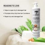 "CoEarth Rice Water Conditioner with Sweet Almond Oil, Cocoa Butter & Aloe Vera