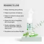 Colourbar Co‑Earth Tea Tree Foaming Face Wash 150ml for Oily and Acne-Prone Skin Deep Cleansing Antibacterial Pore Purifying Daily Use Facial Cleanser