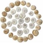 Gomati Chakra Religious Item, 1 cm, Off-White, 80 Pieces sk Orginal