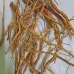 Kolinci Dried Medicinal Root, Traditional Herbal Supplement, Natural Raw Form