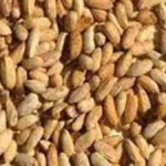 AMK HERBAL Dry Neem Seeds with Shell, Azadirachta Indica, 250g