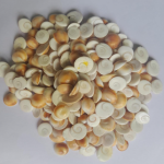 GAURVEDA Gomati Chakra Original, Natural, 31 Pieces