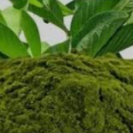 AMK2 Herbal 100% Natural Guava Leaf Powder, Traditional Method Made, No Preservatives, 200g