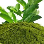 AMK Herbal GUAVA Tooth Powder with Rice Husk and Salt, 100% Natural, Chemical-Free, 200g