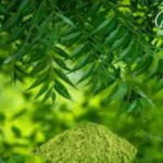 Neem Tooth Powder with Rice Husk and Salt, 100% Natural, Black