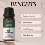 Buy 1 Get 1 Free Peppermint Essential Oil for Aromatherapy & Home Fragrance | Essential Oil for Diffuser & Soap Making