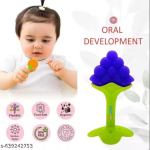Pack of 3 Baby Silicone Fruit Teether | Lightweight & Flexible