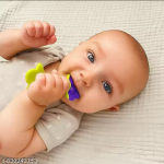 Pack of 3 Baby Silicone Fruit Teether | Lightweight & Flexible