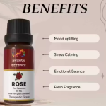 Buy 1 Get 1 Free Rose Essential Oil for Aromatherapy & Home Fragrance | Essential Oil for Diffuser & Soap Making | Rose Fragrance Oil | Rose Aroma Oil | 10 ml