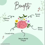 Ananta Premium Essential Oils – Frankincense, Peppermint & Rosemary