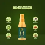 KESH ROOT (AYURVEDIC SHAMPOO)100ML