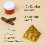 Rudraksha Mala Necklace | Natural Brown Beads with Gold-Tone Chain Links for Meditation