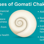 Big Size Gomati Chakra Original Natural – Brown Spiral Gomathi Chakram for Vishnu Mahalakshmi Pooja & Vastu