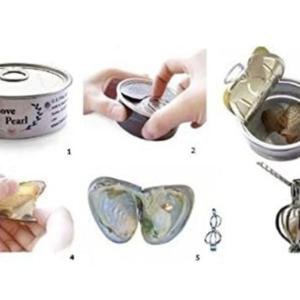 Love pearl discovery kit