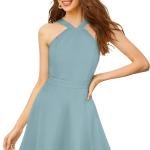 Scarlet Elegance Halter Skater Dress