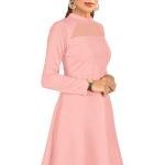 Maroon Solid Mock Neck Long Sleeves A-Line Dress