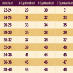 Women's Lace Solid Non-Padded Full Cup Wire Free Bra