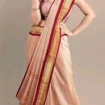 Cotton Silk Pai Thani Border Saree with Contras Blouse ,Zari Border with Peacock Booty