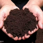 Vermi Compost (1Kg) 100% Pure Natural Varmi Compost for All Plants Manure, Fertilizer (khad)