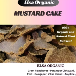 Mustard Cake (2kg) – Sarson Khali Organic Fertilizer | Natural Manure for Home & Terrace Gardens