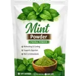 Appu Naturals Pure Mint Powder Seasoning 100g – All-Purpose Pudina Sprinkler for Raita, Dips & Chaat | 100% Natural, No Added Salt or Fillers | Sun Dried Pudina Powder