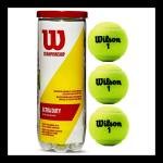 Wilson Championship Tennis Balls