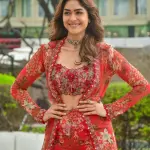 D 94 ✨ Elegant Red Floral Fusion Set ✨