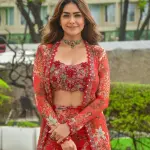 D 94 ✨ Elegant Red Floral Fusion Set ✨