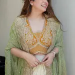 D 98 Elegant Embroidered Saree Set – Timeless Festive Glamour