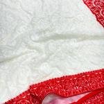 Elegant White & Red Handcrafted Pure Chiffon Lucknowi Chikankari Saree with Blouse Piece
