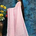 Charming Two-Tone Handcrafted Hakoba Saree in Light Pink & White – Embroidered with Sequins