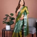 Tissue Saree  With Blouse