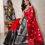 Premium quality lite weight pure contrast Organza Silk with bp