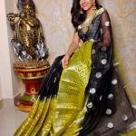 Premium quality lite weight pure contrast Organza Silk with bp